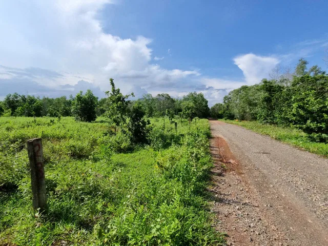 Bất động sản tại Bình Thuận - ảnh 1