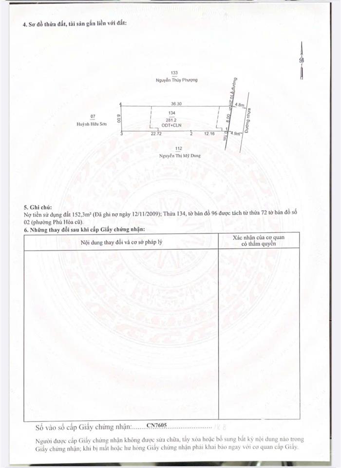 Bất động sản tại Bình Dương - ảnh 1