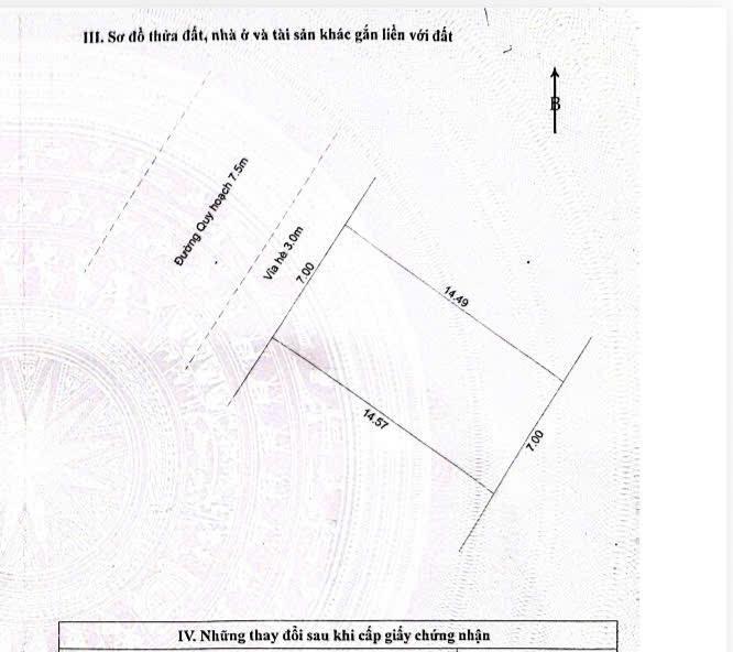 Bất động sản tại Đà Nẵng - ảnh 1