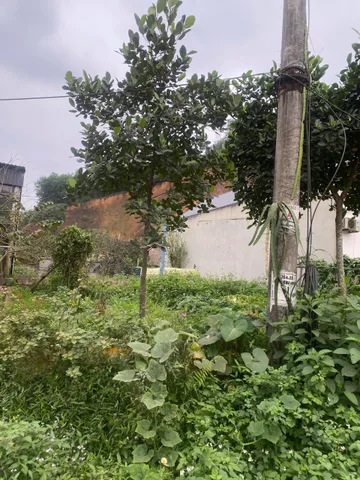 Bất động sản tại Phú Thọ - ảnh 1