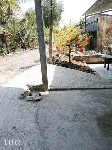 Bất động sản tại Long An - ảnh 1