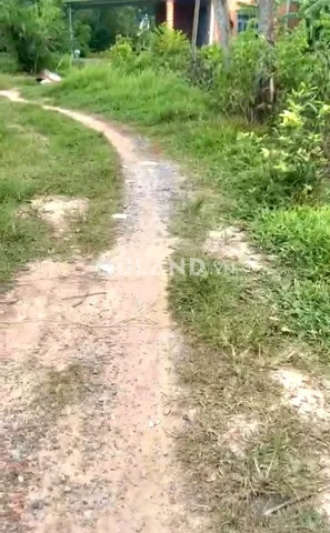 Bất động sản tại Tây Ninh - ảnh 1