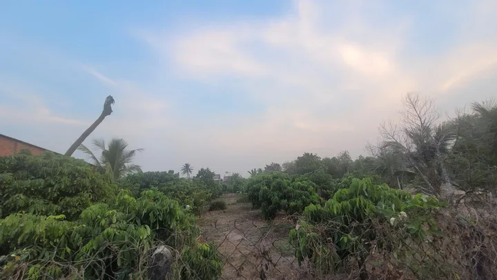Bất động sản tại Tây Ninh - ảnh 1
