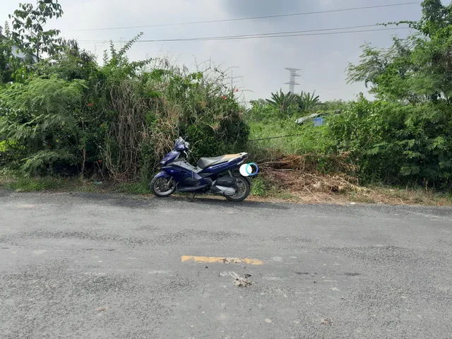 Bất động sản tại Tiền Giang - ảnh 1