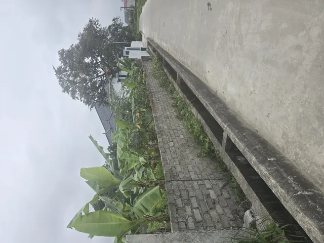 Bất động sản tại Thanh Hóa - ảnh 1