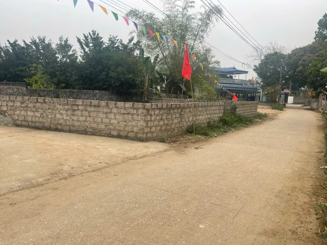 Bất động sản tại Phú Thọ - ảnh 1