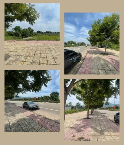 Bất động sản tại Lâm Đồng - ảnh 1