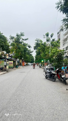 Bất động sản tại Cà Mau - ảnh 1