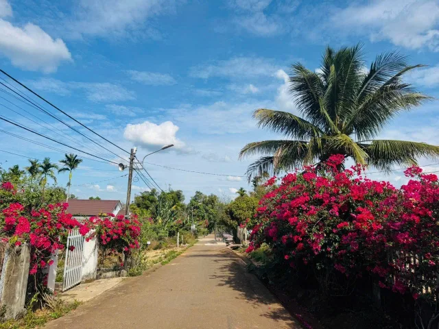 Bất động sản tại Đắk Lắk - ảnh 1