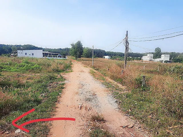 Bất động sản tại Bình Dương - ảnh 1