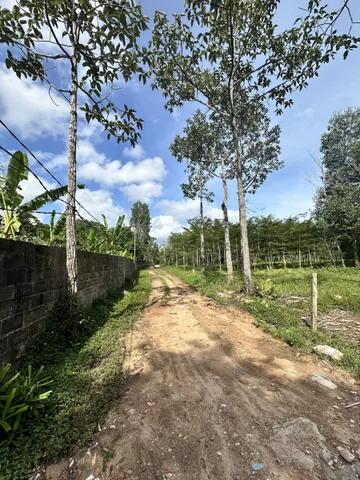 Bất động sản tại Kiên Giang - ảnh 1