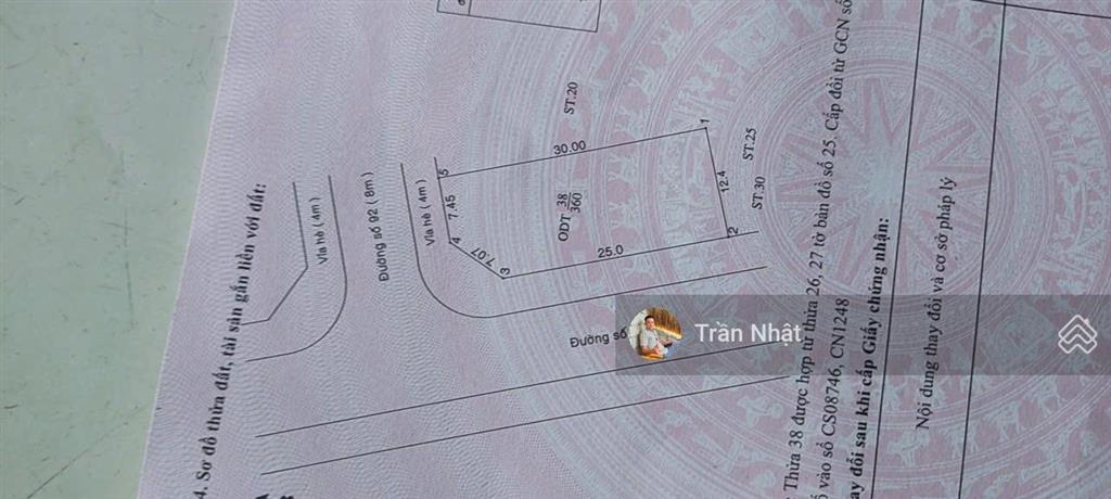 Bất động sản tại Bình Dương - ảnh 1