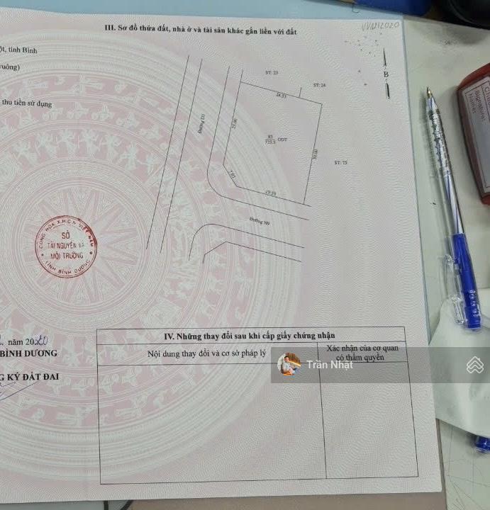 Bất động sản tại Bình Dương - ảnh 1