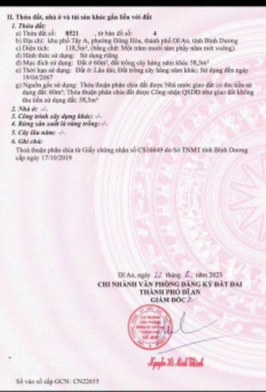 Bất động sản tại Bình Dương - ảnh 1