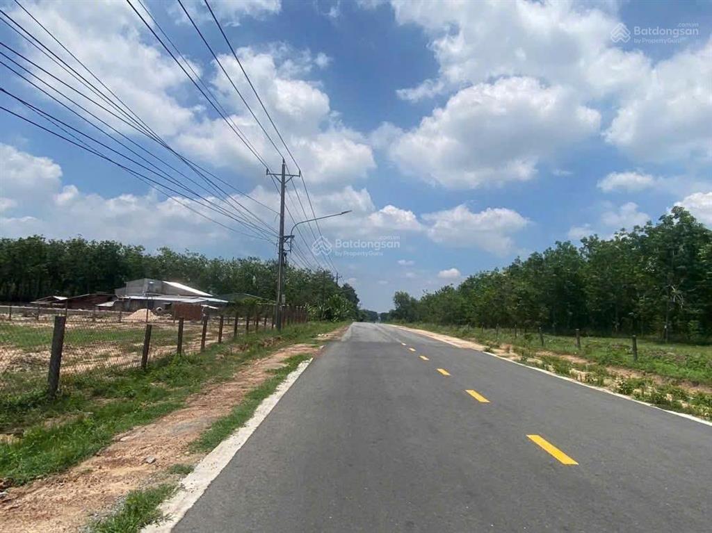 Bất động sản tại Bình Dương - ảnh 1