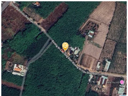 Bất động sản tại Bình Dương - ảnh 1