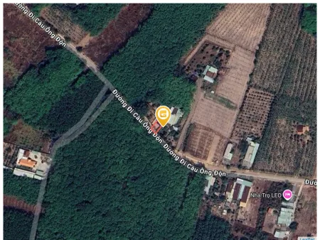 Bất động sản tại Bình Dương - ảnh 1