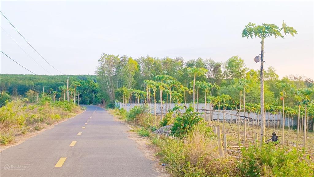 Bất động sản tại Bà Rịa - Vũng Tàu - ảnh 1