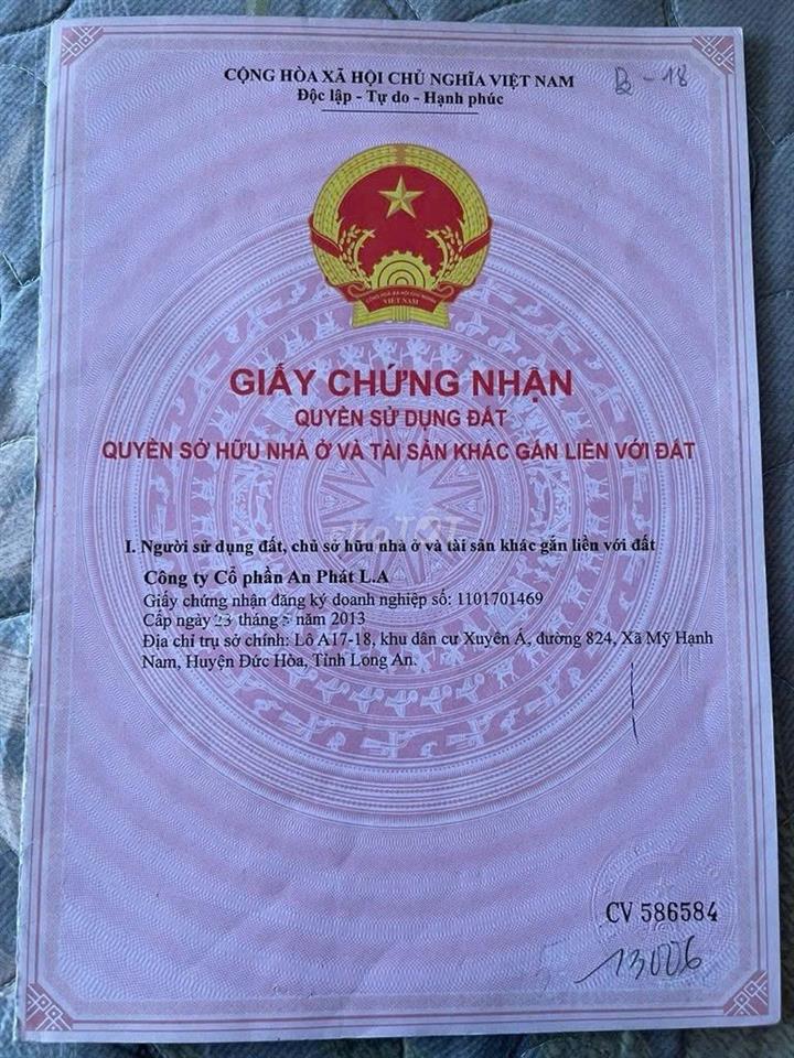 Bất động sản tại Long An - ảnh 1