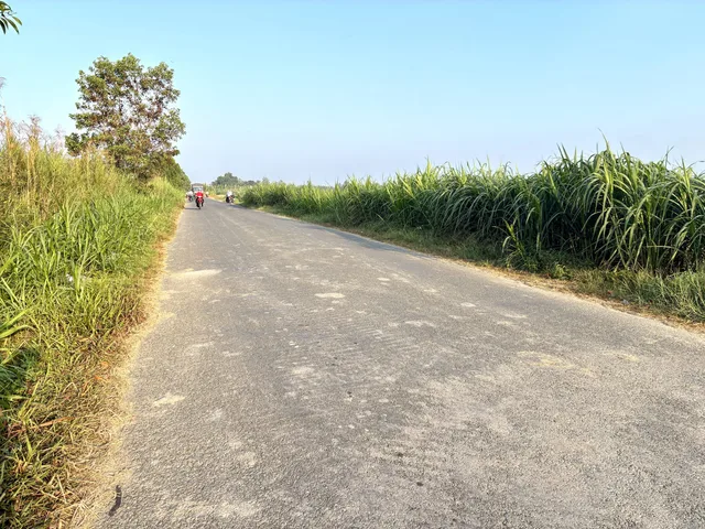 Bất động sản tại Vĩnh Long - ảnh 1
