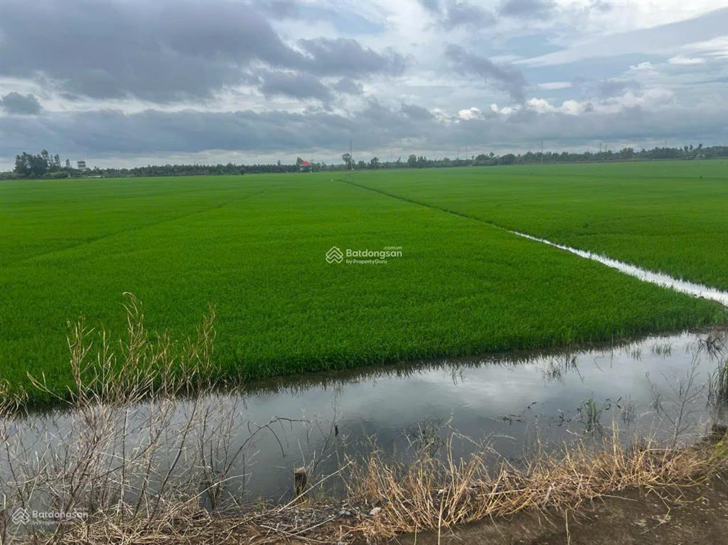 Bất động sản tại Long An - ảnh 1