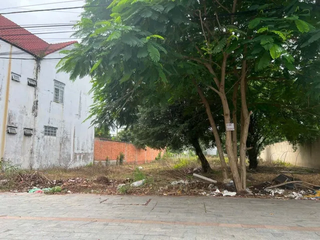 Bất động sản tại Bình Dương - ảnh 1