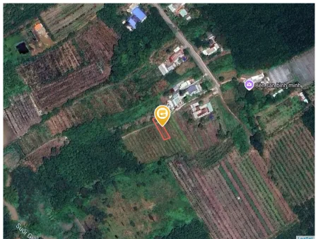 Bất động sản tại Bình Dương - ảnh 1