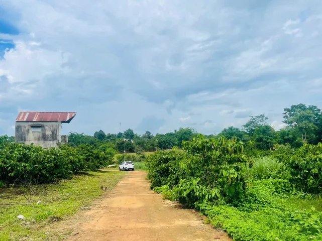 Bất động sản tại Gia Lai - ảnh 1