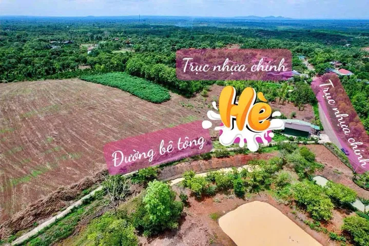 Bất động sản tại Đắk Lắk - ảnh 1