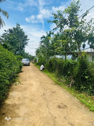 Bất động sản tại Đắk Lắk - ảnh 1