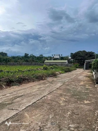 Bất động sản tại Đắk Lắk - ảnh 1