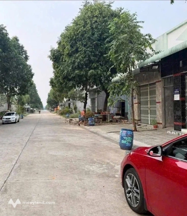 Bất động sản tại Bình Dương - ảnh 1