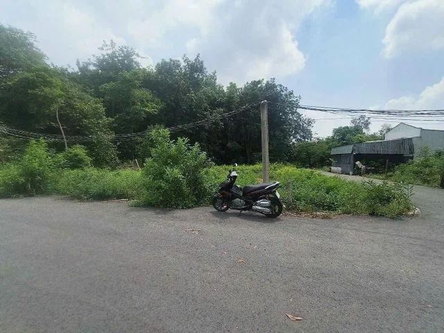 Bất động sản tại Bình Dương - ảnh 1