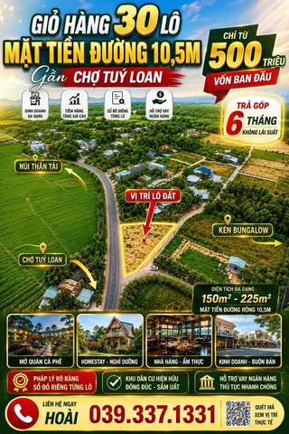 Bất động sản tại Đà Nẵng - ảnh 1