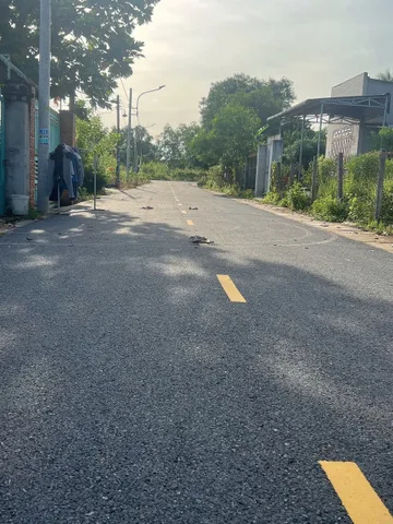 Bất động sản tại Bình Dương - ảnh 1