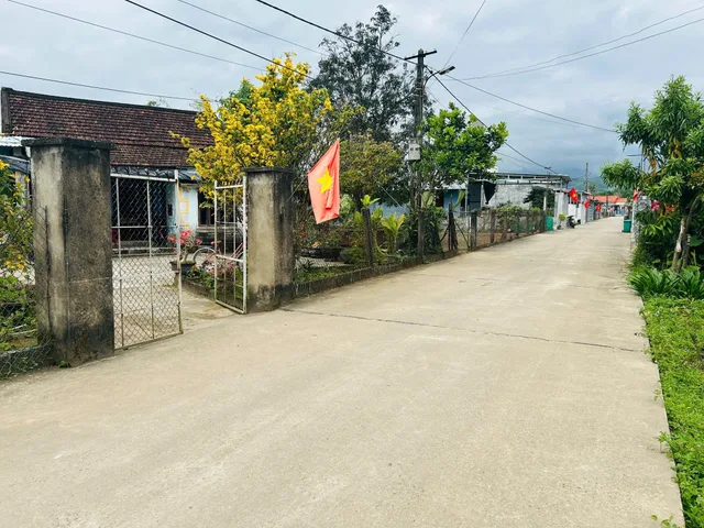 Bất động sản tại Đà Nẵng - ảnh 1