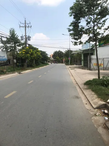 Bất động sản tại Long An - ảnh 1