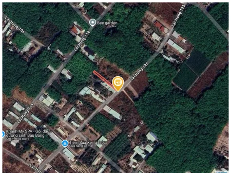 Bất động sản tại Bình Dương - ảnh 1