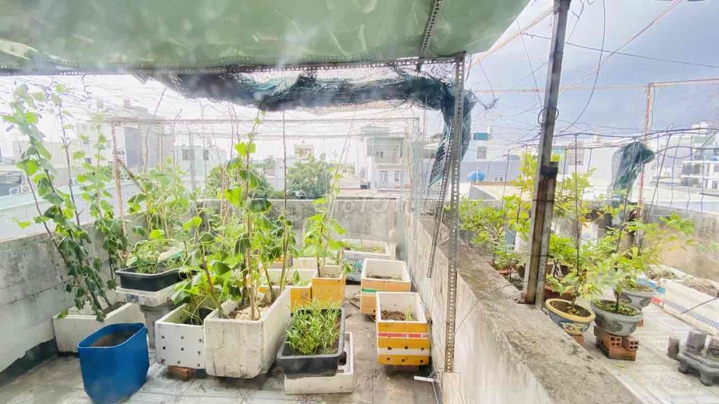 Nhà riêng tại Bình Tân, TP. Hồ Chí Minh - ảnh 4