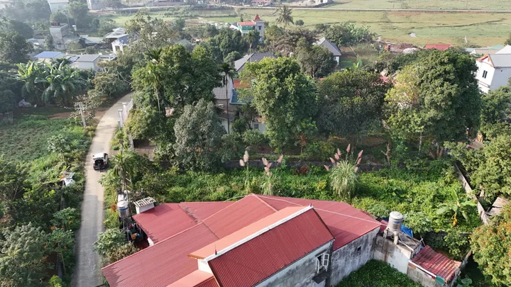 Bất động sản tại Phú Thọ - ảnh 1