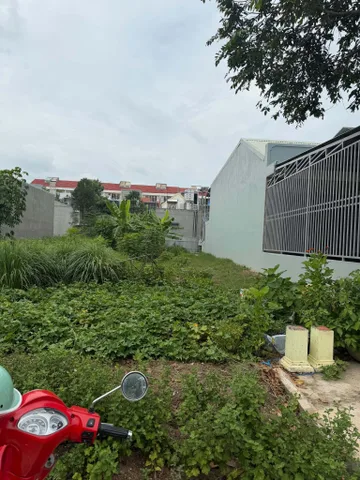 Bất động sản tại Bình Dương - ảnh 1