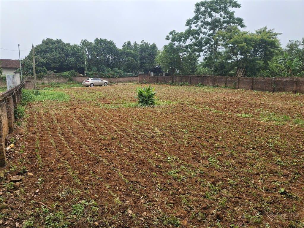 Bất động sản tại Phú Thọ - ảnh 1