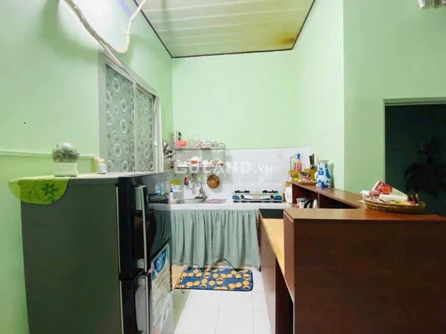 Bất động sản tại Bình Dương - ảnh 1