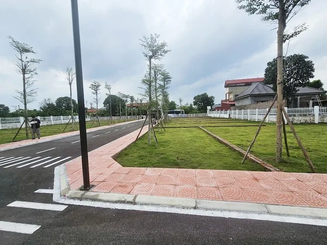 Bất động sản tại Phú Thọ - ảnh 1
