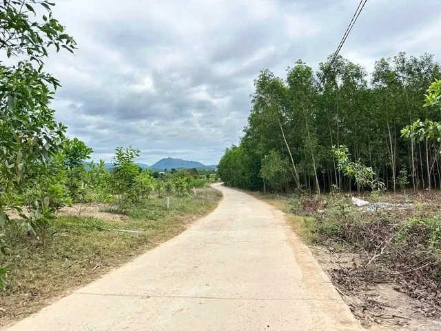 Bất động sản tại Khánh Hòa - ảnh 1