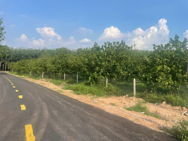 Bất động sản tại Bình Dương - ảnh 1