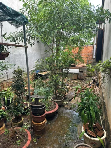 Bất động sản tại Đắk Lắk - ảnh 1