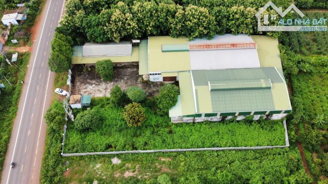 Bất động sản tại Đắk Lắk - ảnh 1