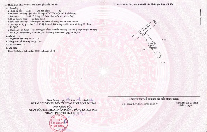 Bất động sản tại Bình Dương - ảnh 1