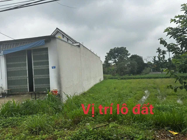 Bất động sản tại Thanh Hóa - ảnh 1